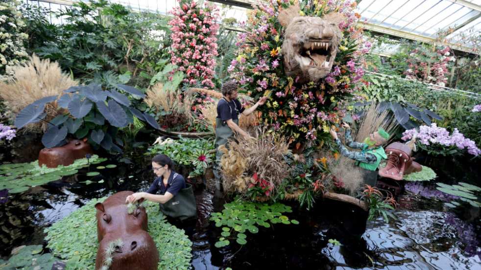 Kew gardens orchid festival